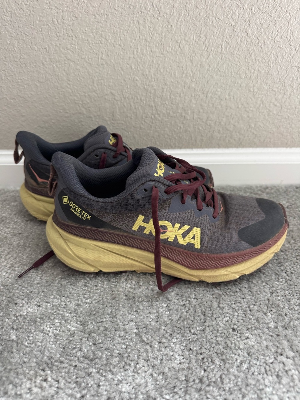 Hoka challenger 7 women’s